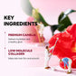 Camellia Deep Collagen Firming Gel Mask - 34g x 4 Sheets-Round Lab-Noura Skincare