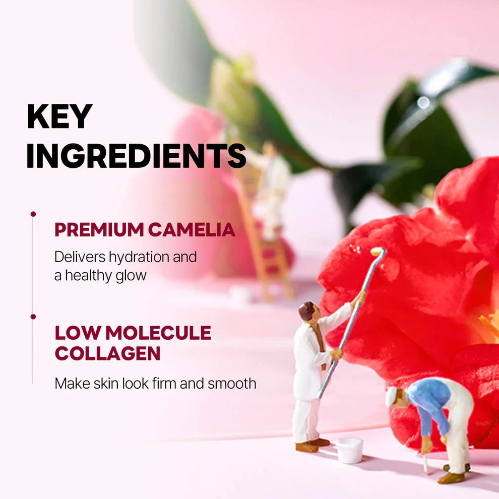 Camellia Deep Collagen Firming Gel Mask - 34g x 4 Sheets-Round Lab-Noura Skincare