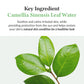 Green Tea Fresh Sunscreen - 45ml-Dr.Althea-Noura Skincare