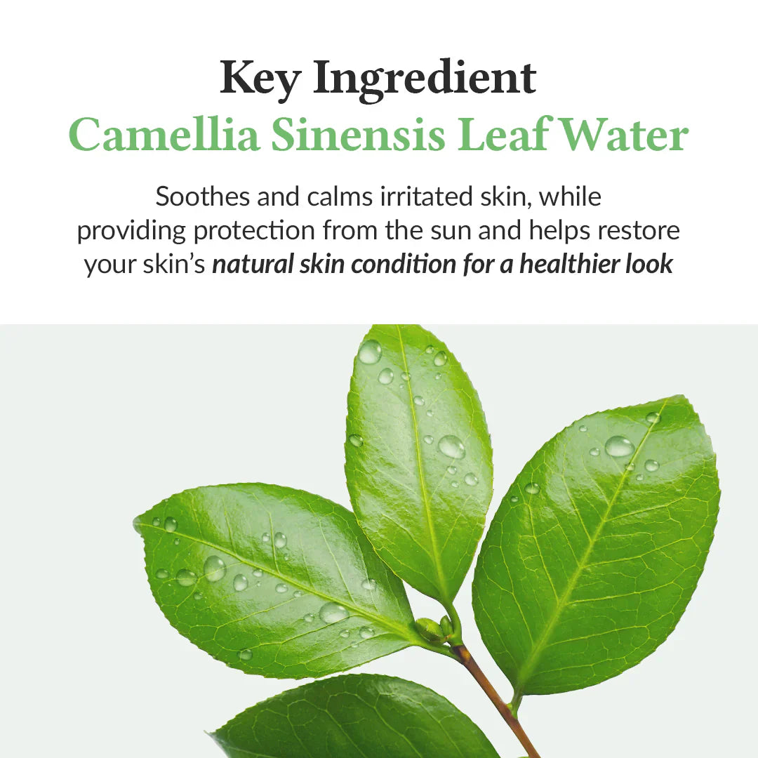 Green Tea Fresh Sunscreen - 45ml-Dr.Althea-Noura Skincare