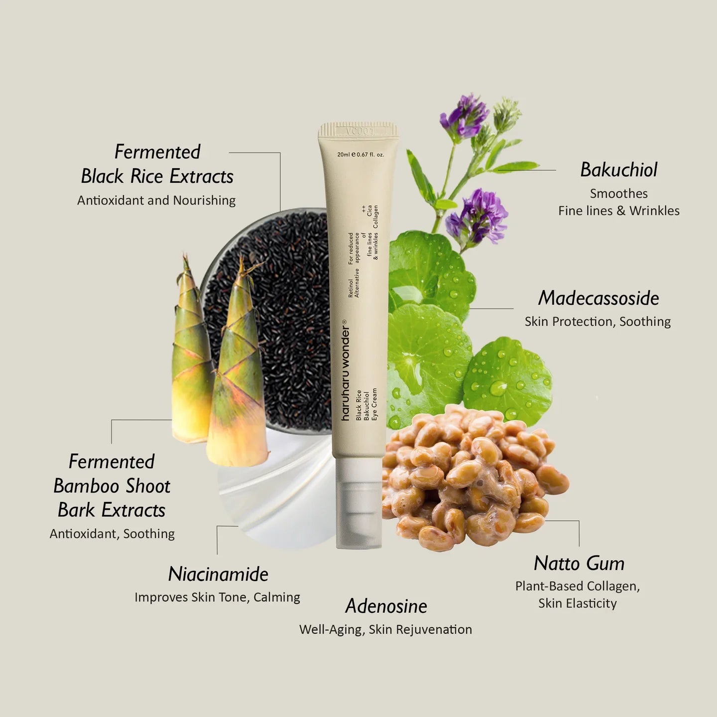 Black Rice Bakuchiol Eye Cream - 20ml-haruharu wonder-Noura Skincare
