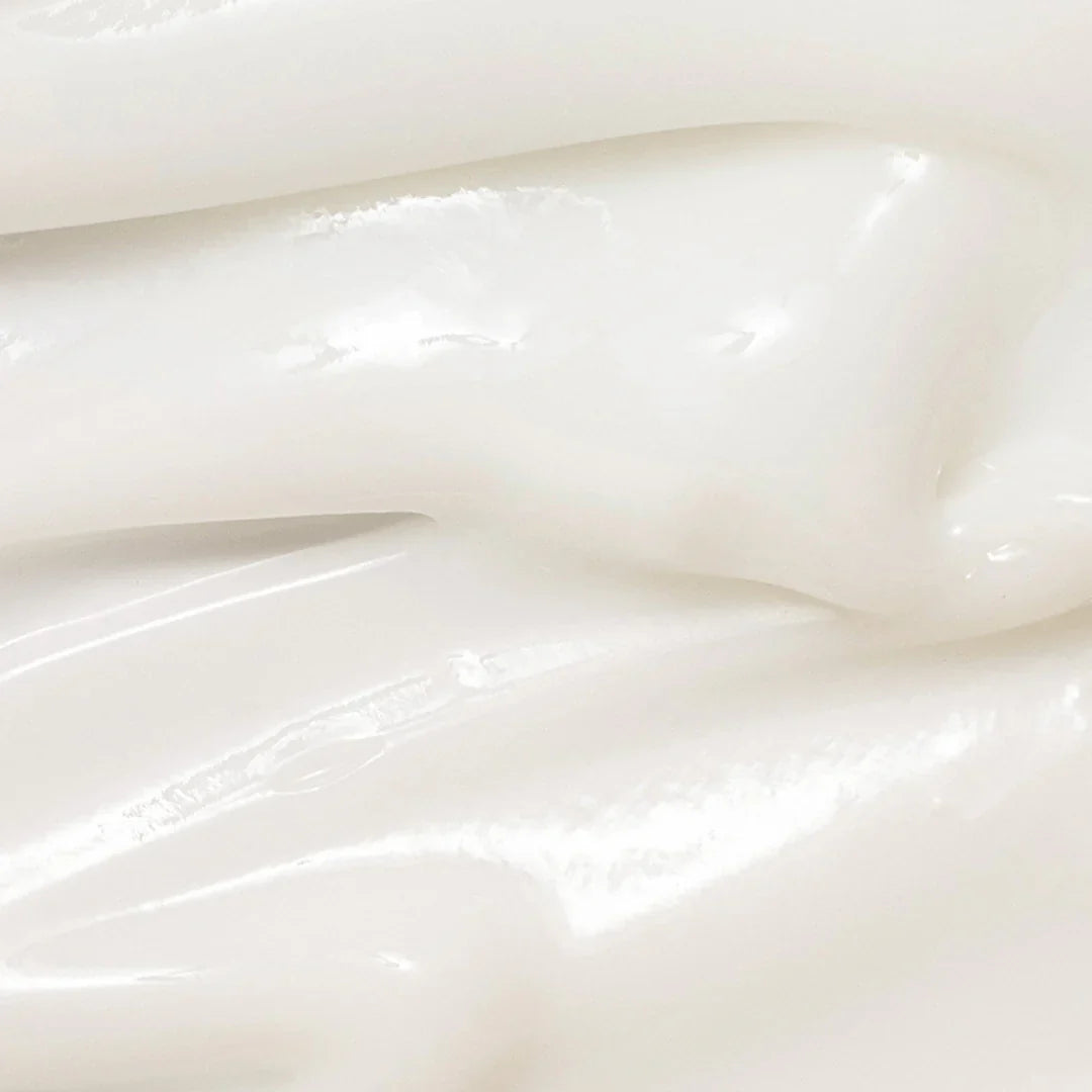 Dynasty Cream - 50ml-Beauty of Joseon-Noura Skincare