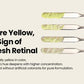 SEOUL 1988 Cream : Retinal Liposome 1% + Fermented Rice - 50ml