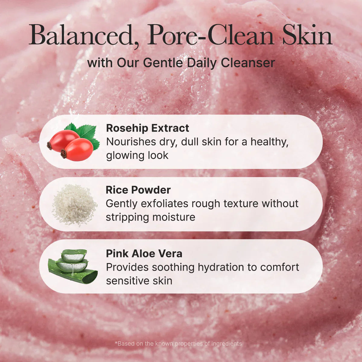 Fresh Rosehip Mochi Cleanser - 120g