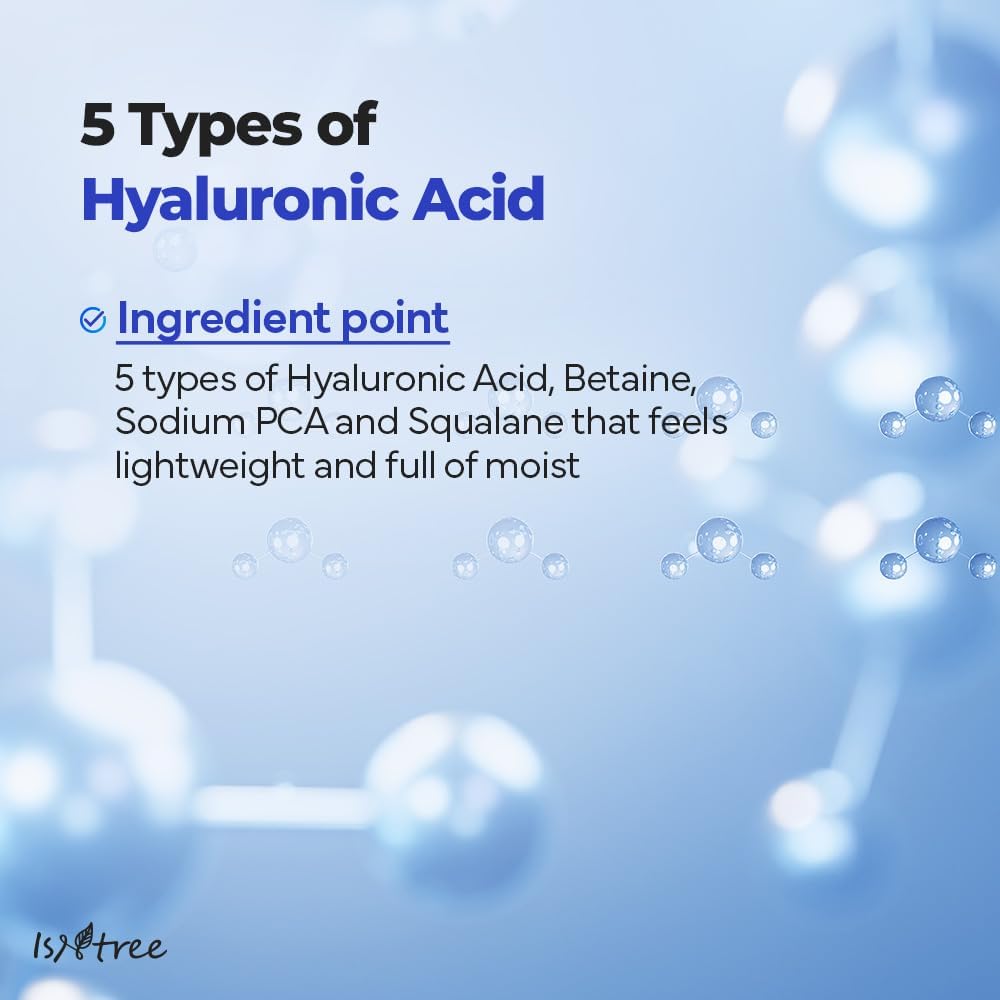 Hyaluronic Acid Aqua Gel Cream - 100ml-Isntree-Noura Skincare