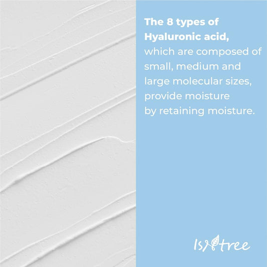 Hyaluronic Acid Low pH Cleansing Foam - 150ml-Isntree-Noura Skincare