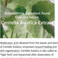 Soondy Centella Asiatica Essence - 100ml-mixsoon-Noura Skincare
