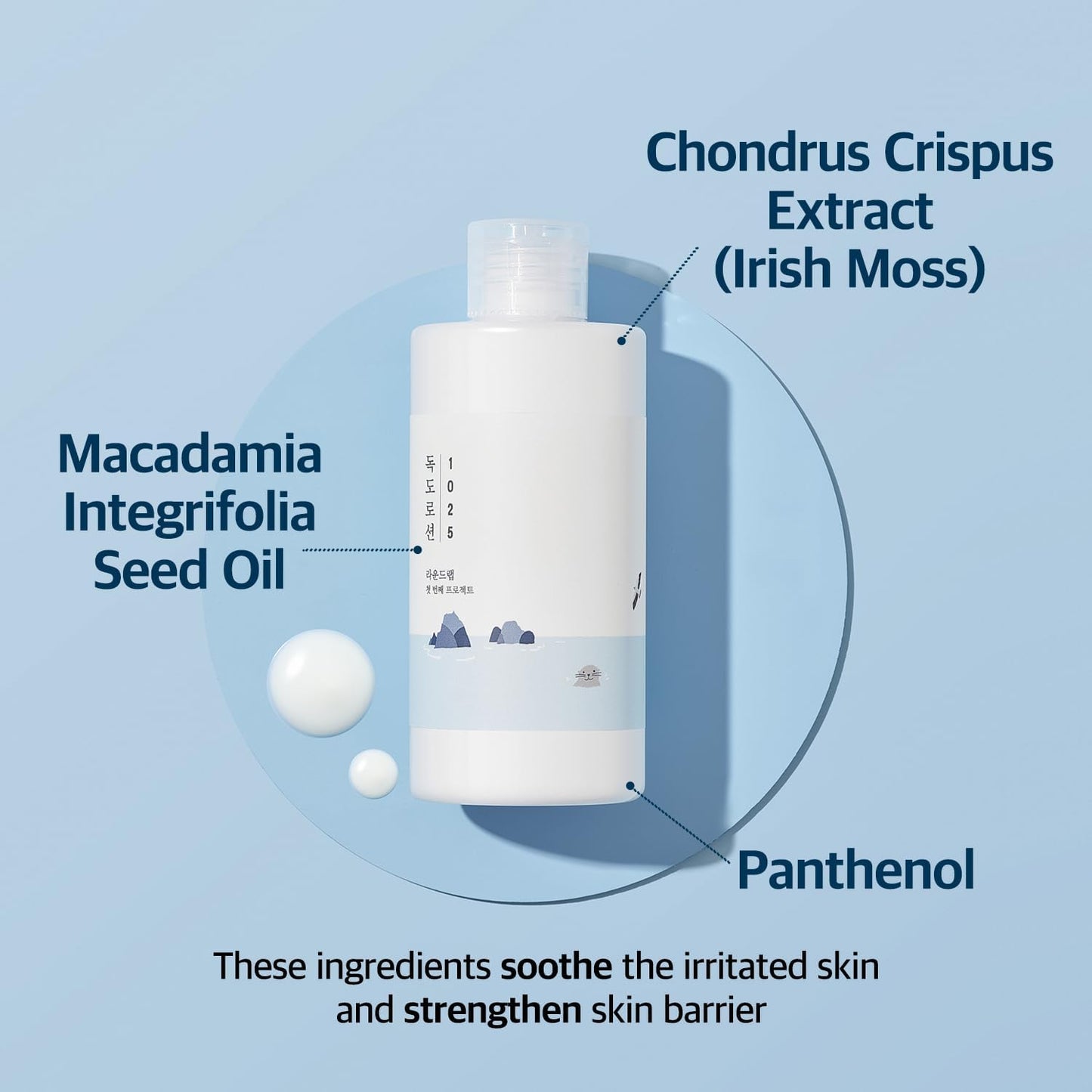 1025 Dokdo Lotion - 200ml-Round Lab-Noura Skincare