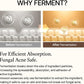 Bean Essence-mixsoon-Noura Skincare