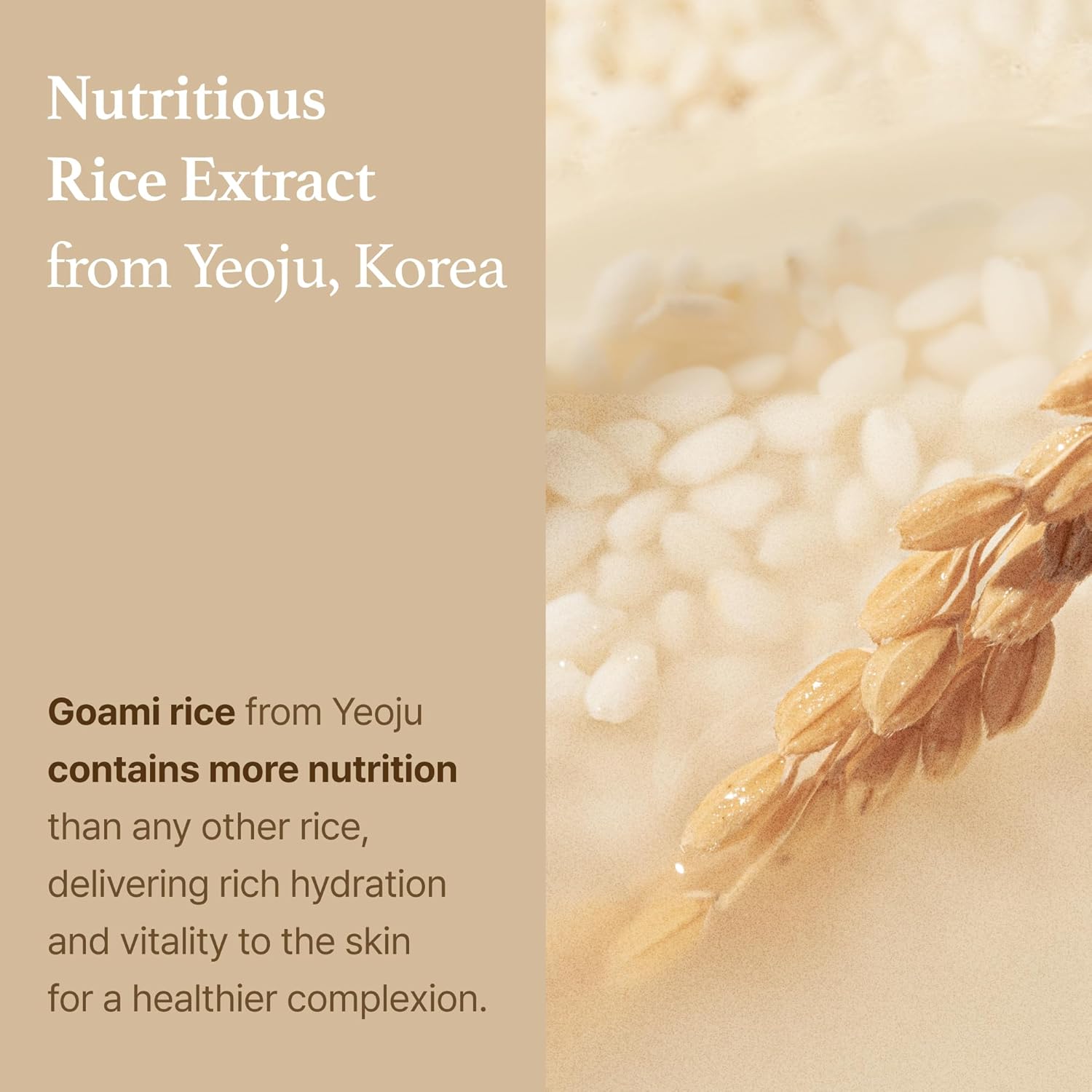 Rice Toner - 150ml-I'm From-Noura Skincare