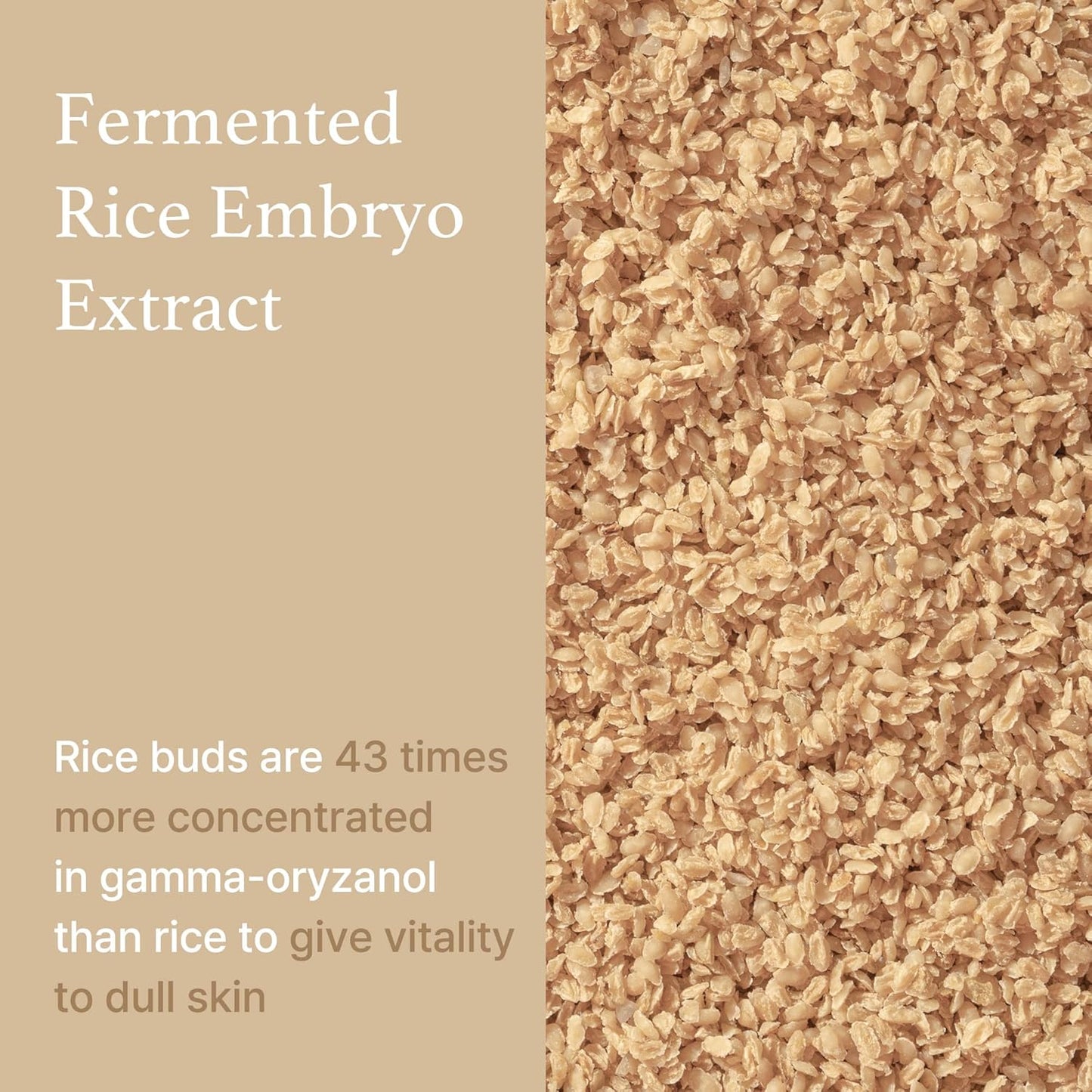 Rice Serum - 30ml-I'm From-Noura Skincare