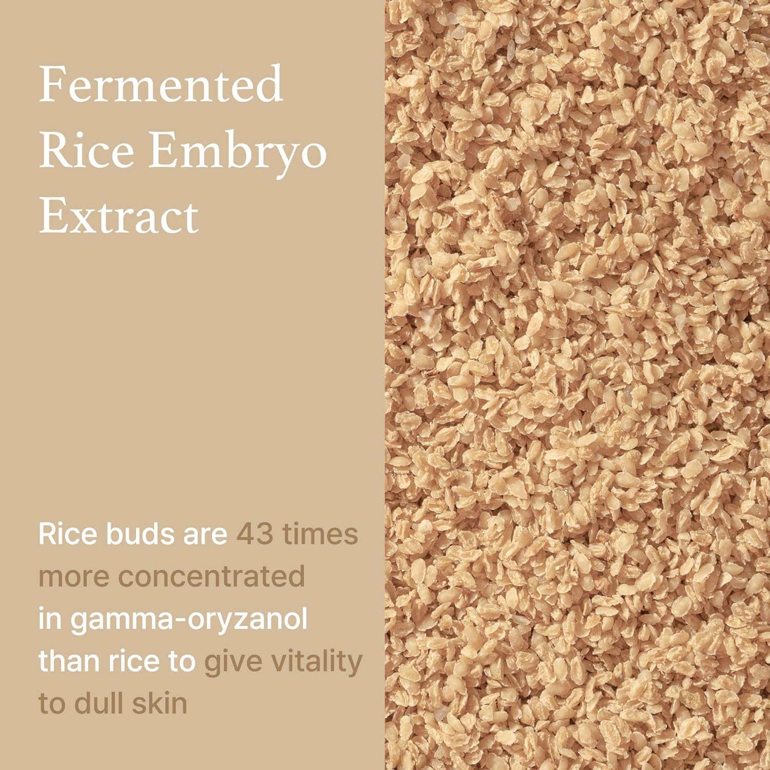 Rice Serum - 30ml-I'm From-Noura Skincare