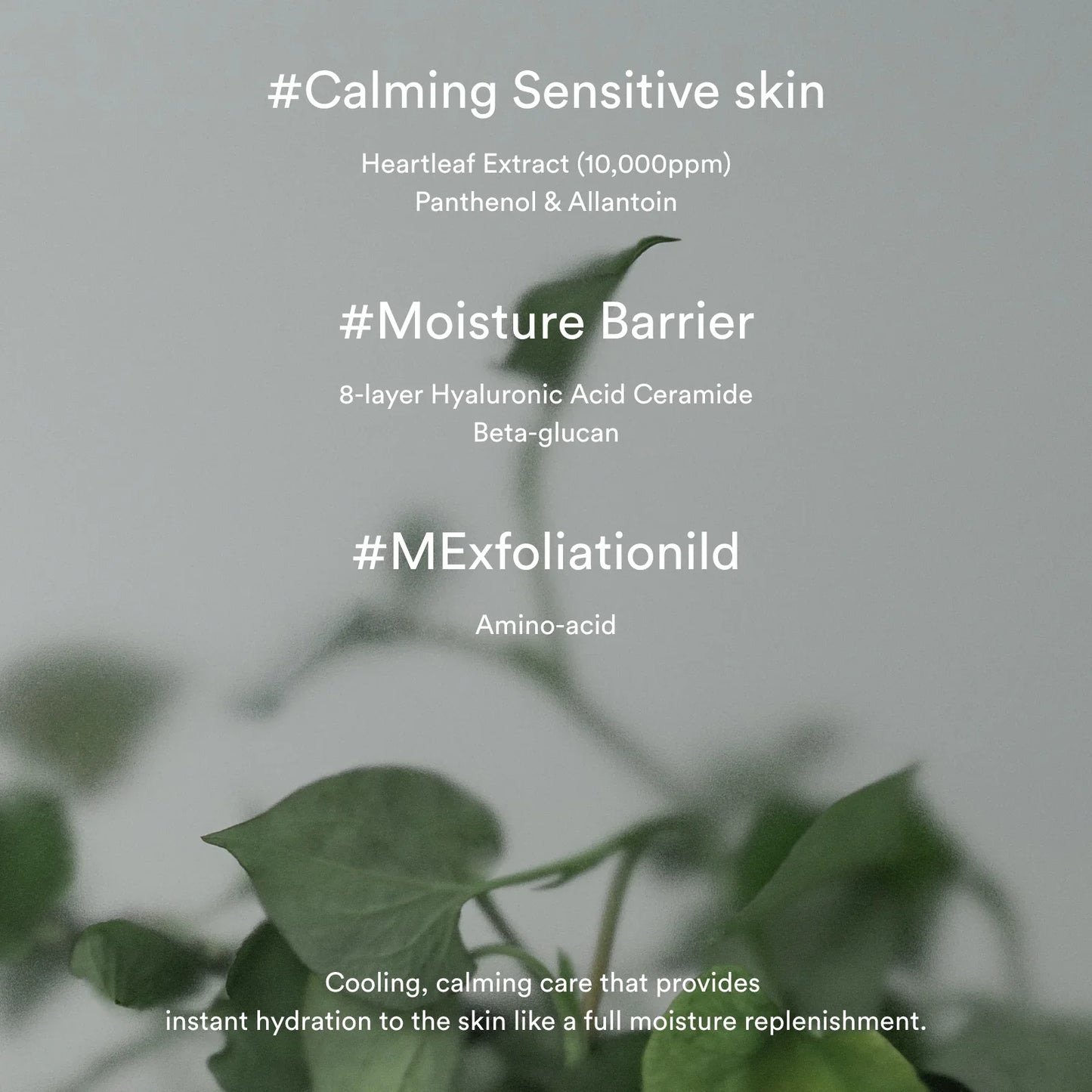 Heartleaf Creme Calming Tube - 75ml-Abib-Noura Skincare
