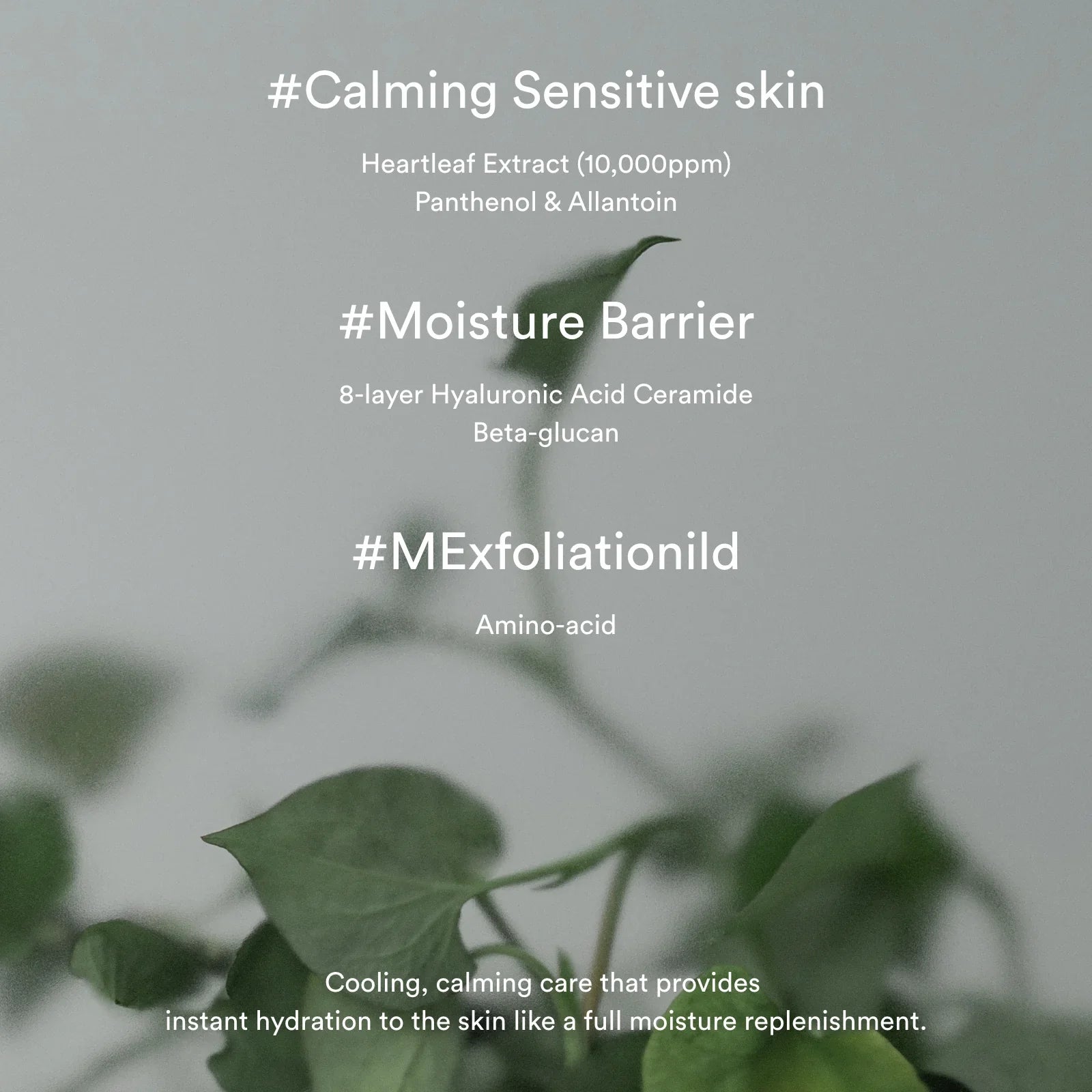 Heartleaf Creme Calming Tube - 75ml-Abib-Noura Skincare