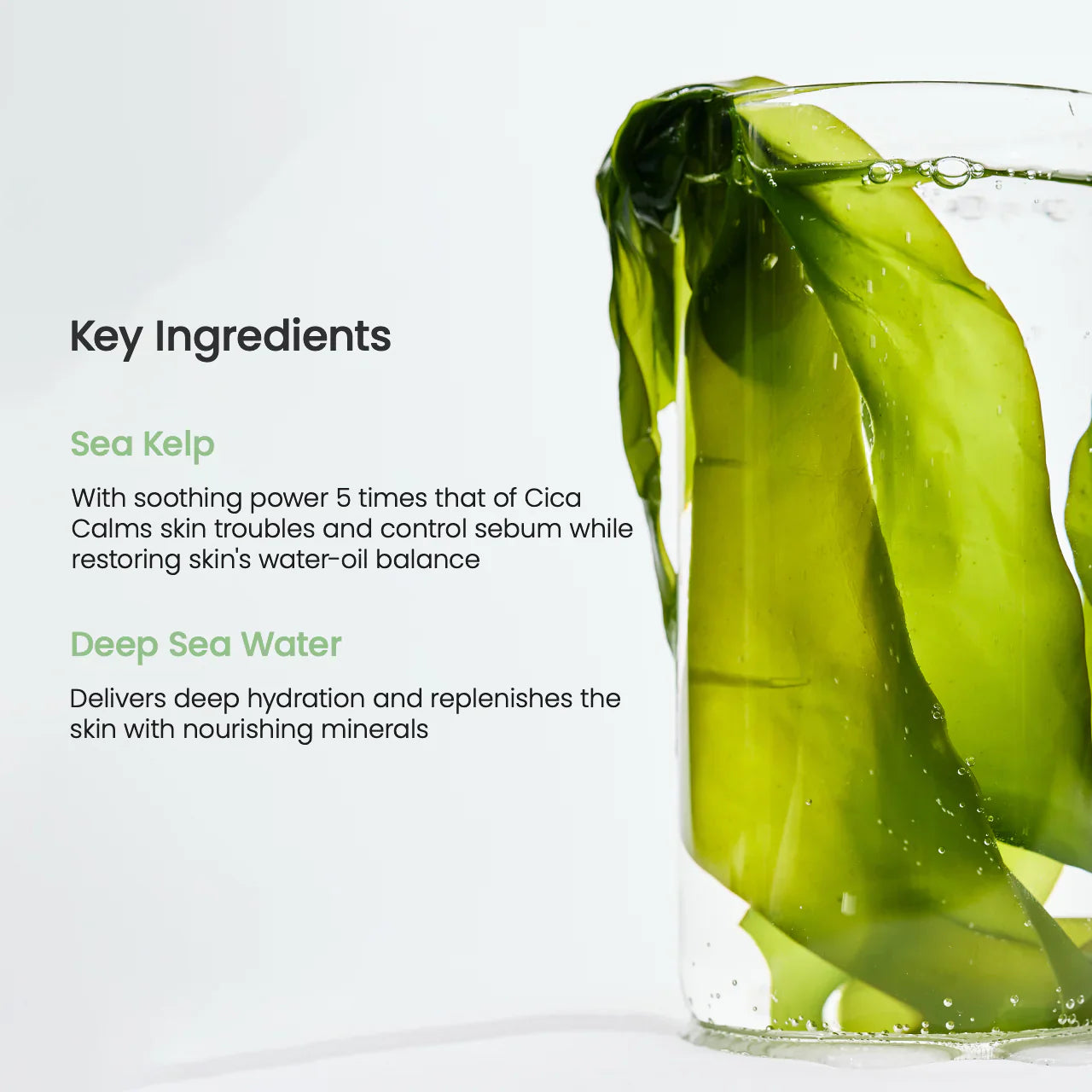 Refreshing Sea Kelp Real Deep Mask - 4 Masks-Biodance-Noura Skincare
